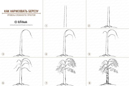 Поэтапное рисование дерева