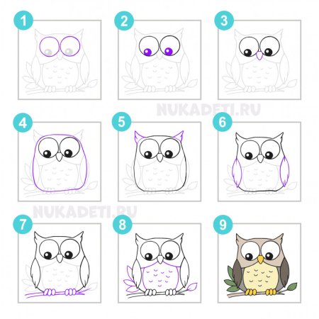 Поэтапное рисование Совы