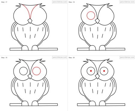 Поэтапное рисование Совы