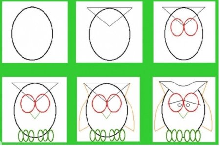 Поэтапное рисование Совы для детей