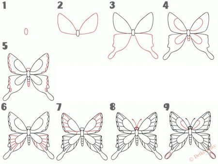 Поэтапное рисование насекомых для дошкольников