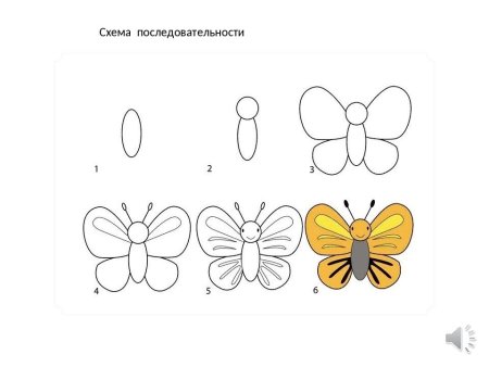Рисование бабочки