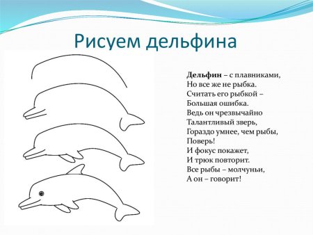 Поэтапное рисование морских обитателей для детей