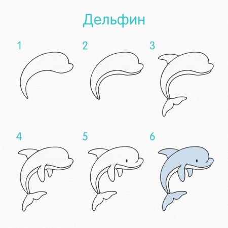 Дельфин поэтапное рисование