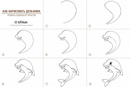 Дельфин нарисовать ребенку легко