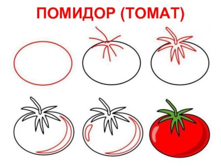 Как нарисовать помидор