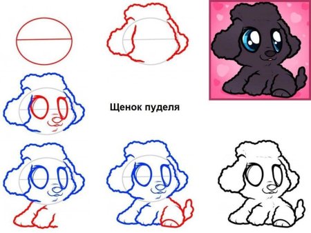 Как рисовать щенка