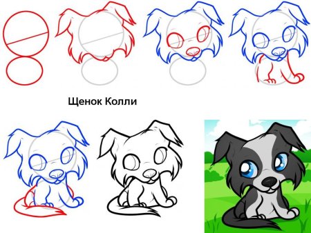 Схема рисования собаки