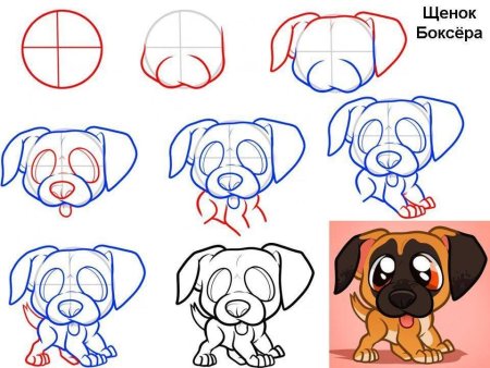 Рисование щенка поэтапно