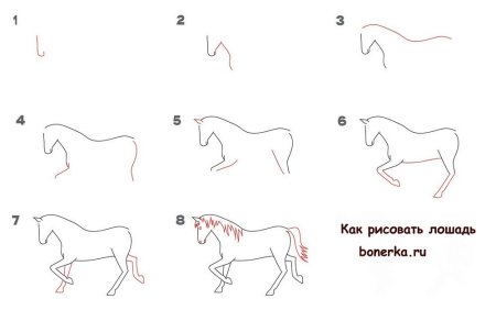 Поэтапное рисование лошади для детей