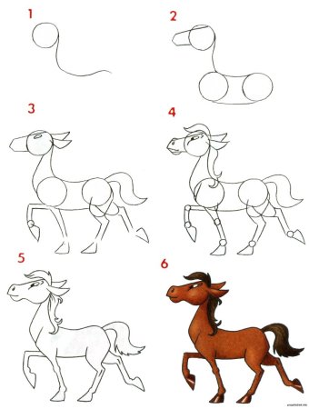 Как нарисовать лошадь