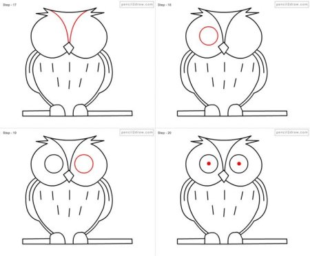 Поэтапное рисование соры