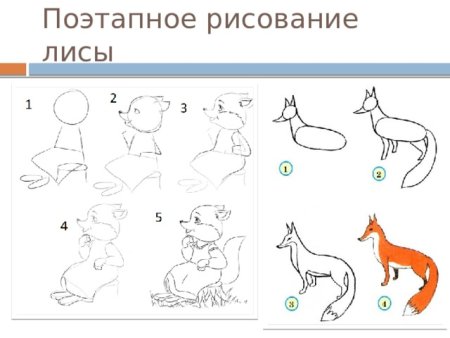 Поэтапное рисование лисы