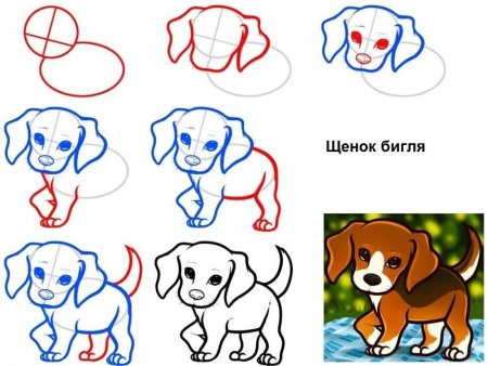 Этапы рисования собаки для детей