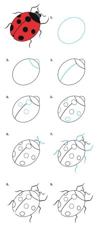 Рисование Божьей коровки поэтапно