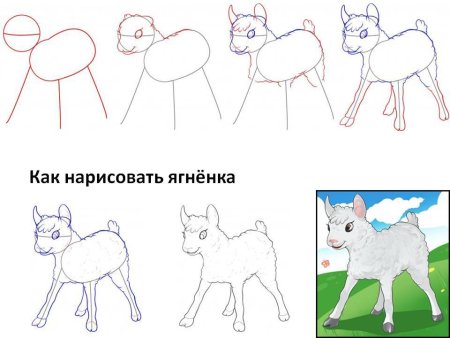 Поэтапное рисование волка для дошкольников