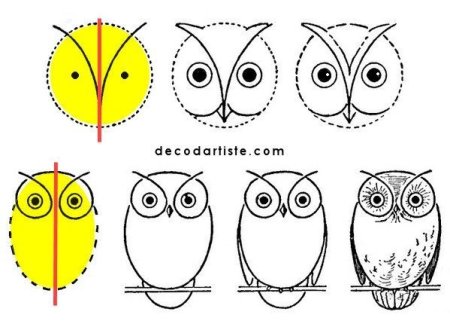 Поэтапное рисование Совы