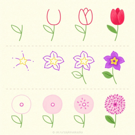 Схема рисования кошки для детей старшей группы