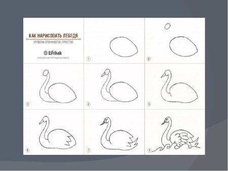 Поэтапное рисование лебедя