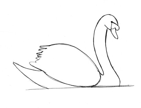 Лебедь рисунок