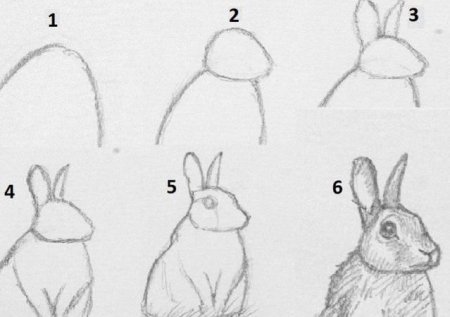 Рисование животных для детей