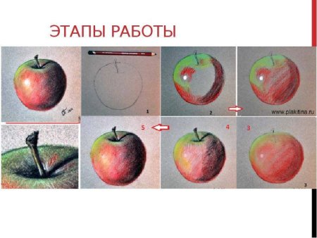 Этапы рисования яблока