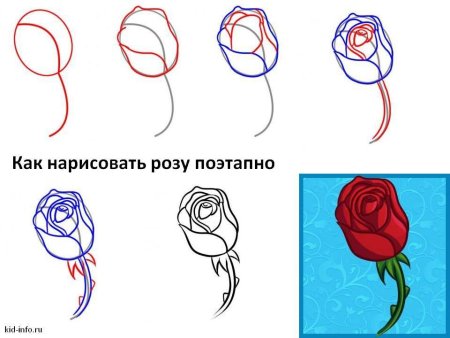 Поэтапное рисование цветы