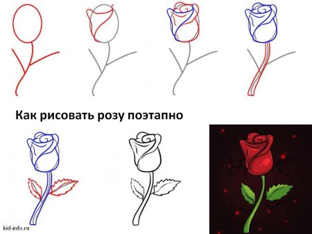 Рисунки розы карандашом для начинающих