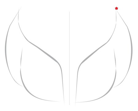 Поэтапное рисование крыльев ангела