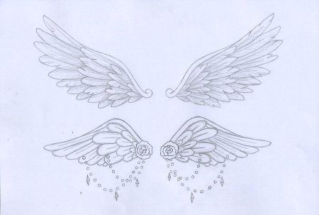 Крылышки рисунок легкий