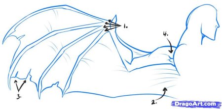 Анатомия крыльев демона