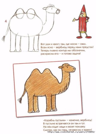 Рисуем верблюда поэтапно для детей