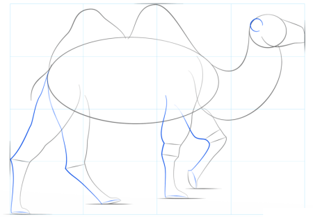 Поэтапное рисование верблюда