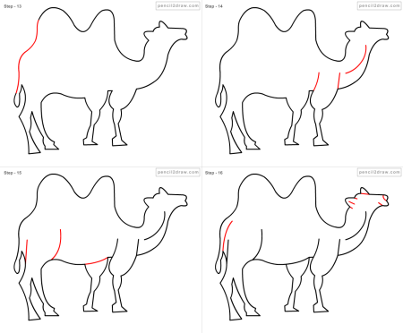 Верблюд рисунок карандашом поэтапно