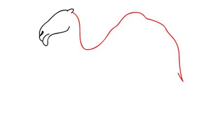 Верблюд как нарисовать шаг за шагом