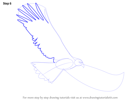 Рисование орла пошагово