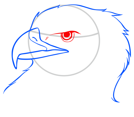 Нарисовать орла поэтапно