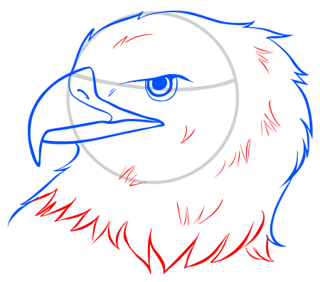 Орел карандашом