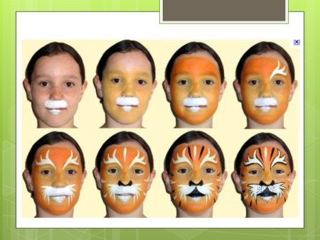 Схемы для аквагрима для начинающих