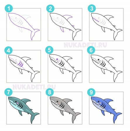 Рисование акулы поэтапно