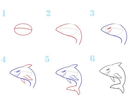 Поэтапное рисование акулы