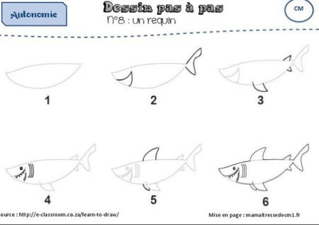 Акула пошаговое рисование