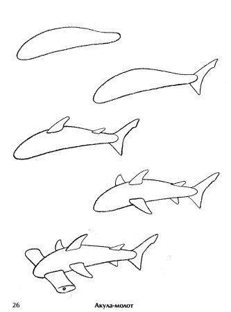 Акула для рисования