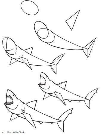 Акула пошаговое рисование