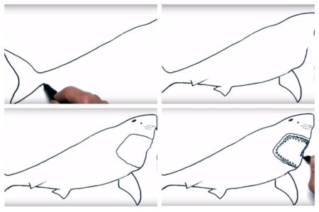 Рисовать МЕГАЛОДОНА