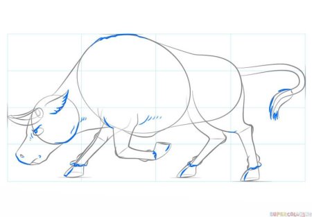 Поэтапное рисование быка