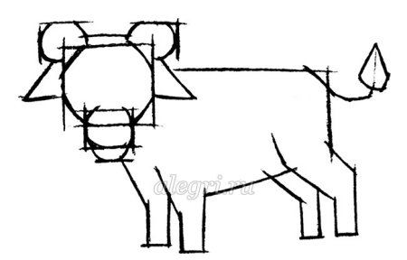 Рисунки карандашом бык по Шагова