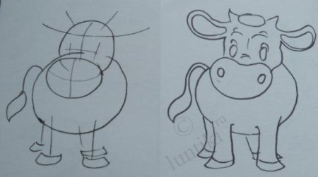 Поэтапное рисование бычка