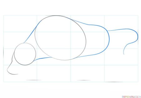 Пошаговые уроки рисования для детей быка