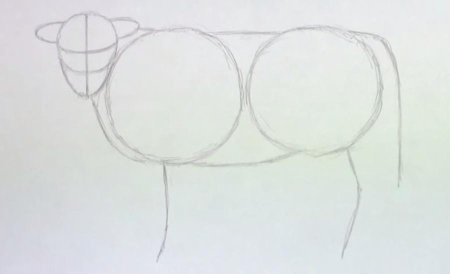 Бык поэтапное рисование для детей